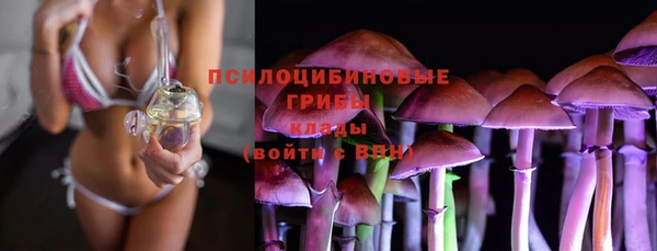 МДПВ Арсеньев