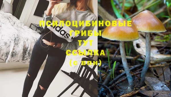 МДПВ Арсеньев