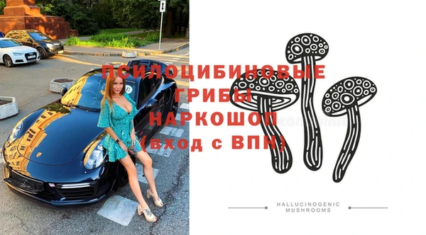 МДПВ Арсеньев