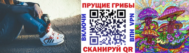 Псилоцибиновые грибы Psilocybe  Камбарка 